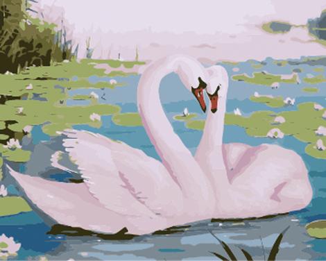 Animal Swan Diy Paint By Numbers Kits UK AN0745