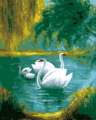 Animal Swan Diy Paint By Numbers Kits UK AN0744