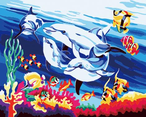 Dolphin Diy Paint By Numbers Kits MA213