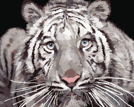 Animal Tiger Diy Paint By Numbers Kits UK AN0413