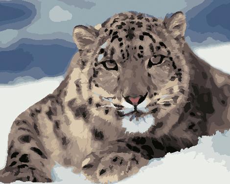 Animal Leopard Diy Paint By Numbers Kits UK AN0831