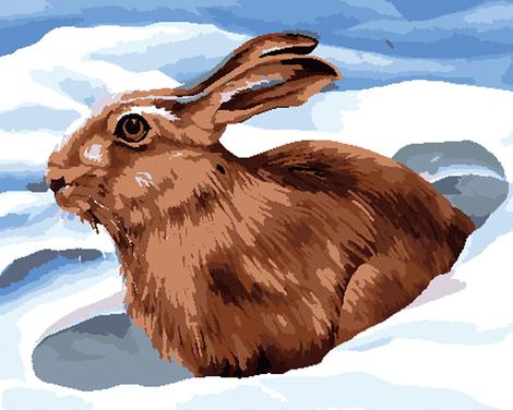 Animal Rabbit Diy Paint By Numbers Kits UK FA0156