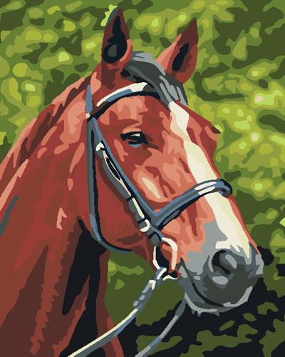 Animal Horse Diy Paint By Numbers Kits UK AN0298