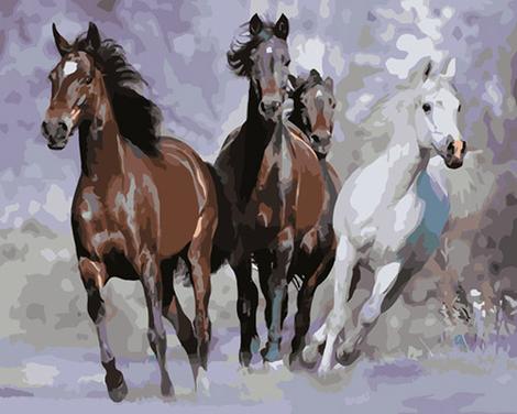 Animal Horse Diy Paint By Numbers Kits UK AN0262