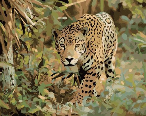 Animal Leopard Diy Paint By Numbers Kits UK AN0830