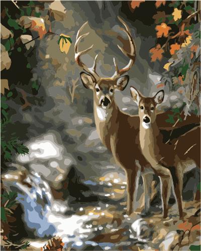 Deer Diy Paint By Numbers Kits UK AN0632