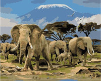 Animal Elephant Diy Paint By Numbers Kits UK AN0212