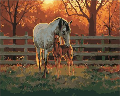 Animal Horse Diy Paint By Numbers Kits UK AN0273