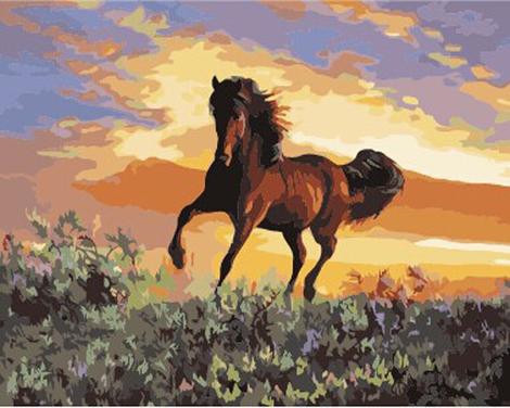 Animal Horse Diy Paint By Numbers Kits UK AN0287