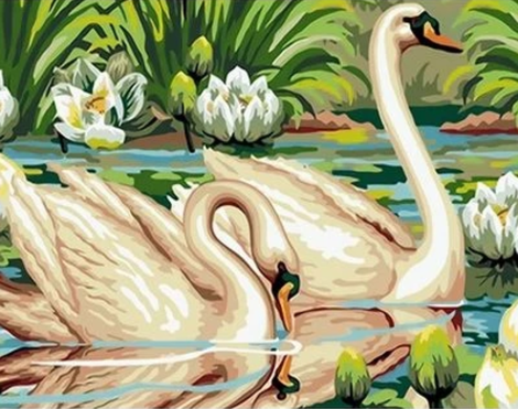 Animal Swan Diy Paint By Numbers Kits UK AN0732