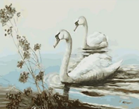 Animal Swan Diy Paint By Numbers Kits UK AN0736