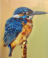 Flying Animal Bird Diy Paint By Numbers Kits UK FB001