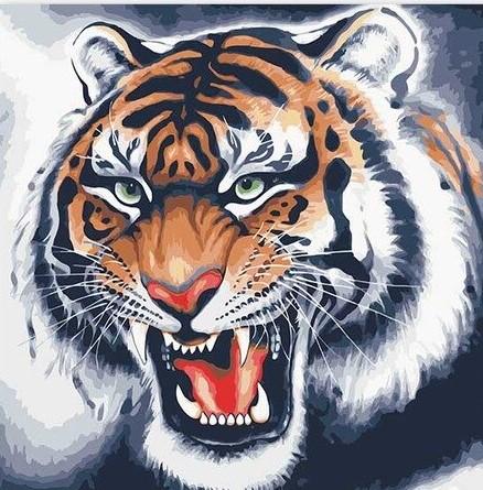 Tiger Diy Paint By Numbers Kits UK AN0374