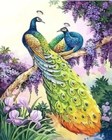 Animal Peacock Diy Paint By Numbers Kits UK AN0687