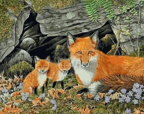 Animal Fox Diy Paint By Numbers Kits UK AN0707