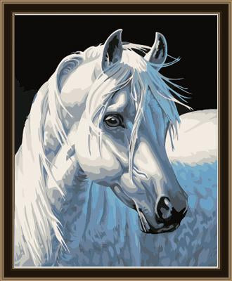 Animal Horse Diy Paint By Numbers Kits UK AN0261