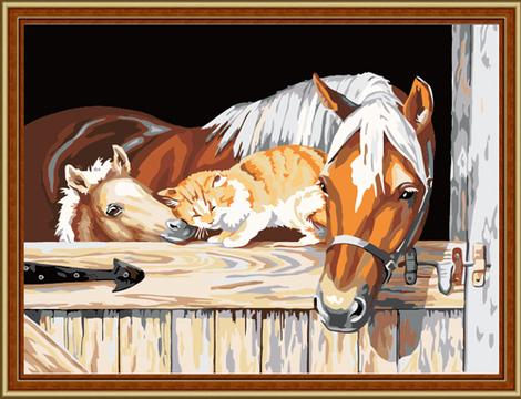 Animal Horse Diy Paint By Numbers Kits UK AN0272