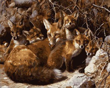 Animal Fox Diy Paint By Numbers Kits UK AN0708