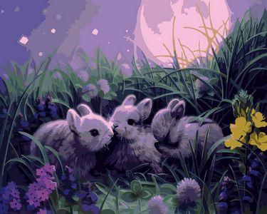 Animal Rabbit Diy Paint By Numbers Kits UK AN0872