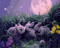 Animal Rabbit Diy Paint By Numbers Kits UK FA0160