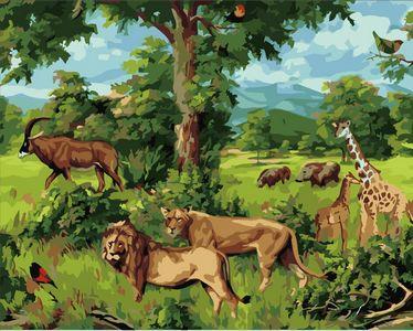 Animal Lion Diy Paint By Numbers Kits UK AN0462