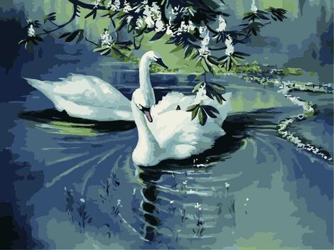 Animal Swan Diy Paint By Numbers Kits UK AN0742
