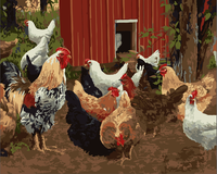 Farm Animal Cocks Diy Paint By Numbers Kits UK FA0141