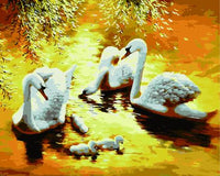 Animal Swan Diy Paint By Numbers Kits UK AN0740