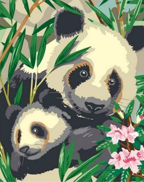 Panda Diy Paint By Numbers Kits UK AN0762