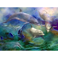 Dolphin Diy Paint By Numbers Kits MA202