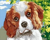 Dog Diy Paint By Numbers Kits UK PE0316