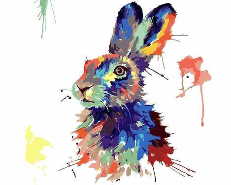 Rabbit Diy Paint By Numbers Kits UK AN0859