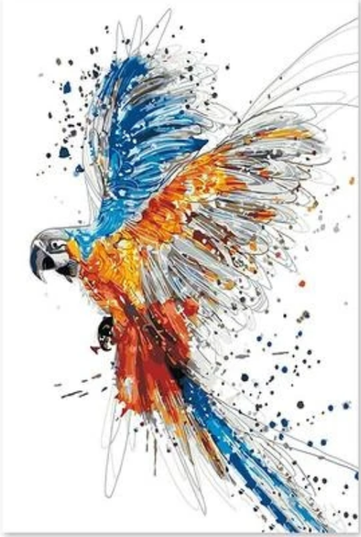 Parrot Diy Paint By Numbers Kits Uk PBN92709