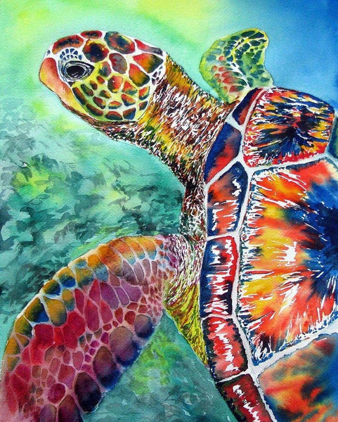 DIY Turtle Paint By Numbers Kits For Adults UK MA094
