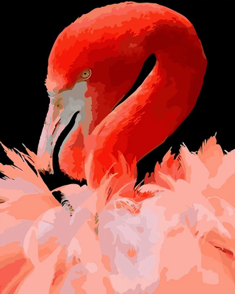 Flamingo Diy Paint By Numbers Kits UK AN0199