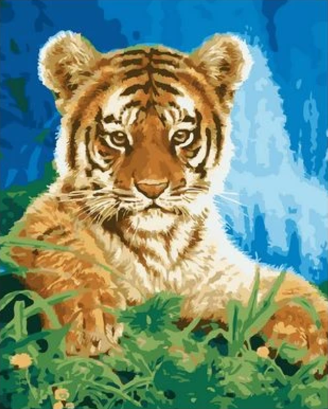 Animal Tiger Diy Paint By Numbers Kits UK AN0353