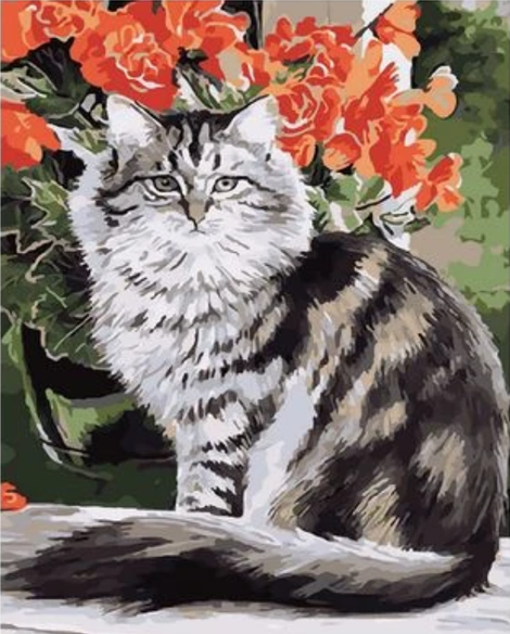Cat Diy Paint By Numbers Kits UK PE0203
