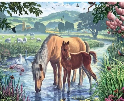 Animal Horse Diy Paint By Numbers Kits UK AN0289