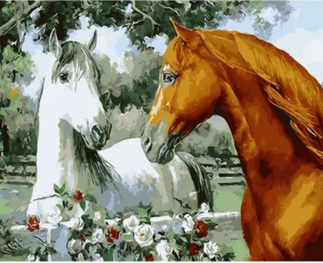 Animal Horse Diy Paint By Numbers Kits UK AN0275