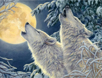 Animal Wolf Diy Paint By Numbers Kits UK AN0584