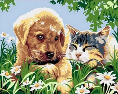 Dog Diy Paint By Numbers Kits UK PE0359