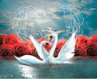 Animal Swan Diy Paint By Numbers Kits UK AN0728