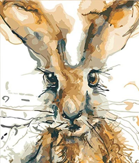 Rabbit Diy Paint By Numbers Kits UK FA0013