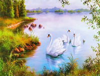 Swan Diy Paint By Numbers Kits UK AN0716