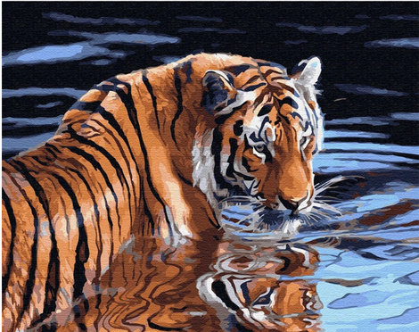 Tiger Diy Paint By Numbers Kits UK AN0389