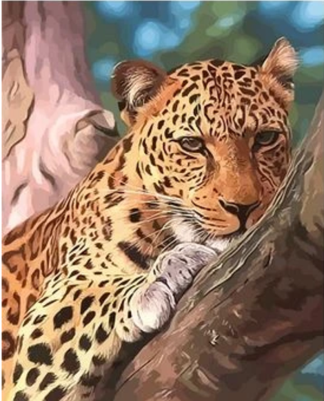 Animal Leopard Diy Paint By Numbers Kits UK AN0816