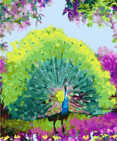 Animal Peacock Diy Paint By Numbers Kits UK AN0686