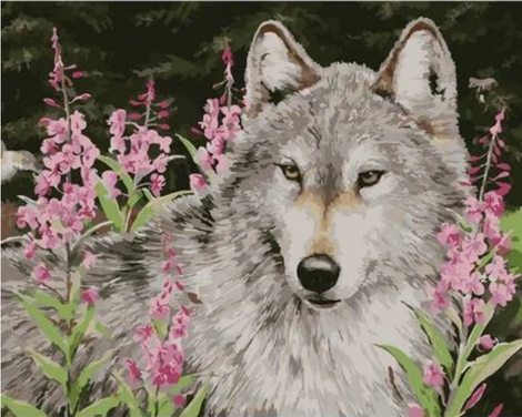 Animal Wolf Diy Paint By Numbers Kits UK AN0600