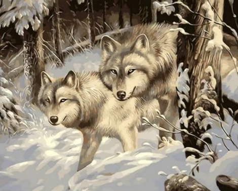 Animal Wolf Diy Paint By Numbers Kits UK AN0603