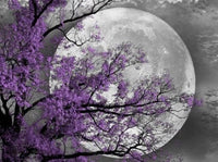 Scenery Tree Moonlight Diy Paint By Numbers Kits FD244